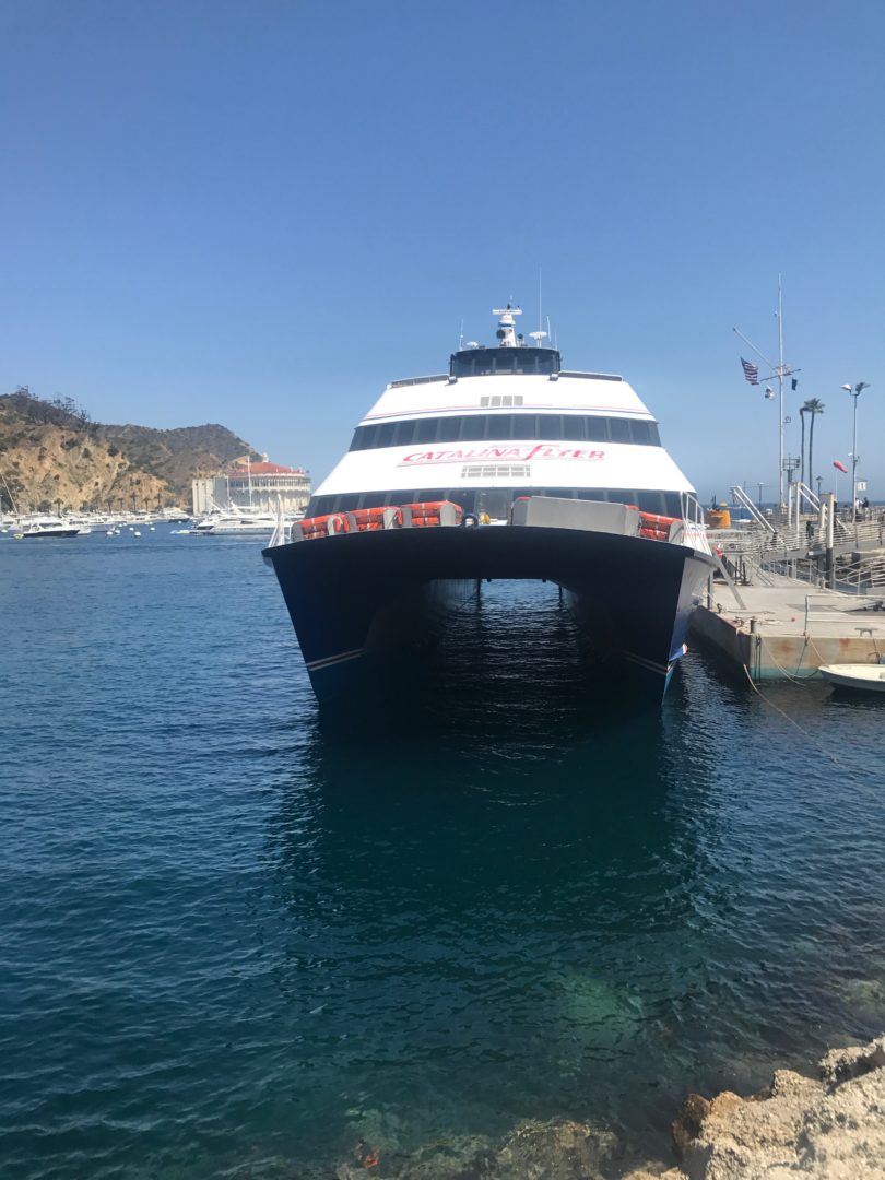 Catalina Island Birthday Trip Suite Hairstyles